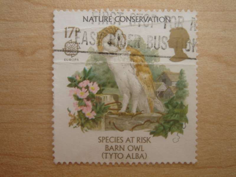 1986 Great Britain - Barn Owl 17 P used, stamped