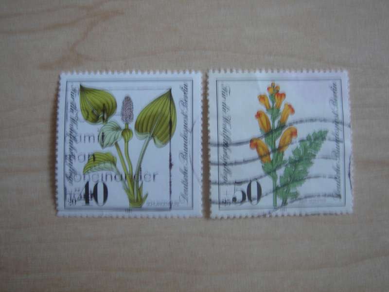 1981 West Berlin MiNr 650-651 used, stamped