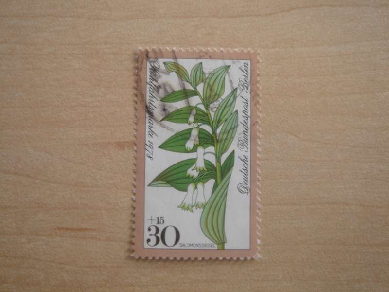 1978 West Berlin MiNr 573 used, stamped