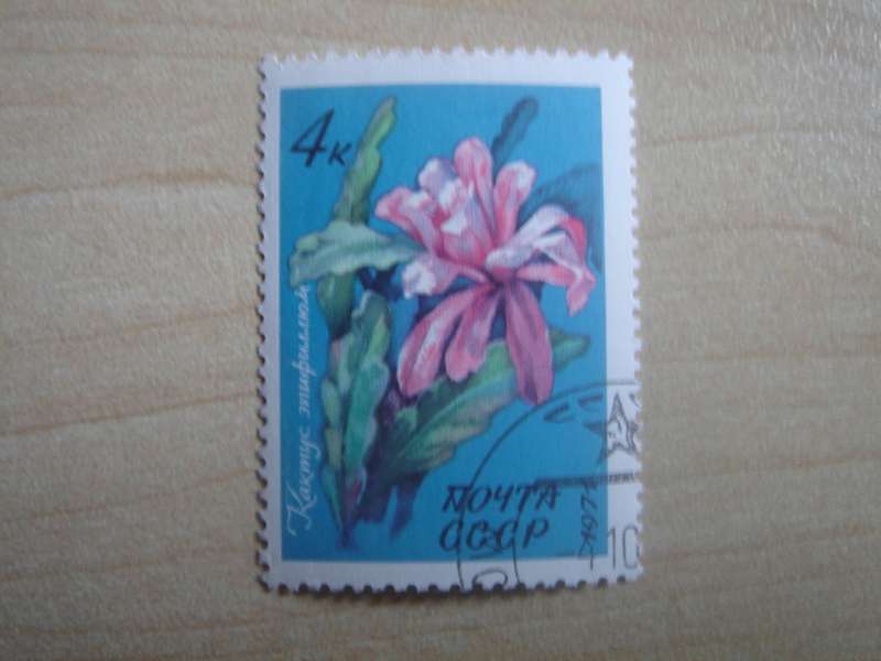 1971 USSR - Catus Epiphyllum 4 k used, stamped