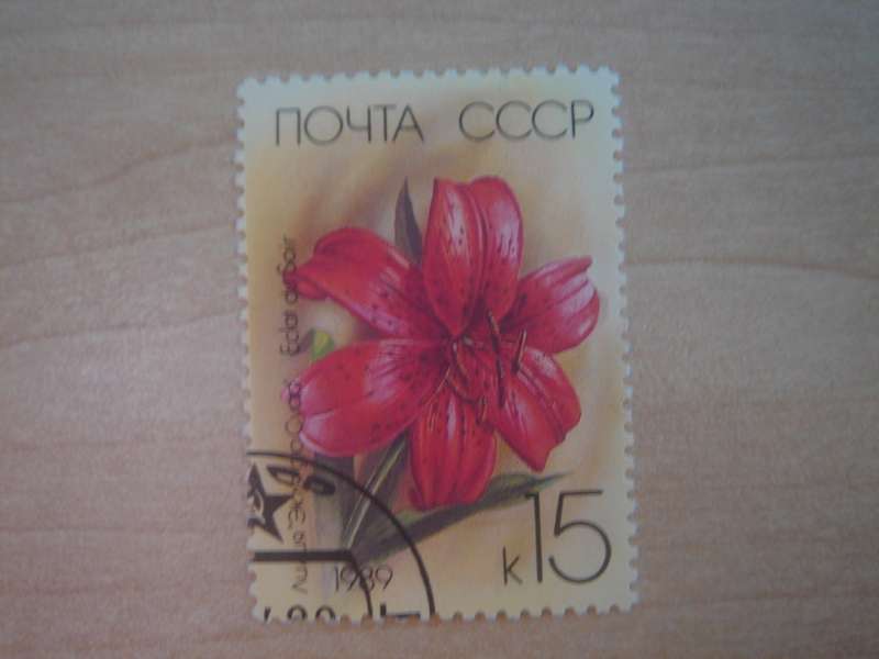 1989 USSR - Flower - Eclat du Soir 15 k used, stamped