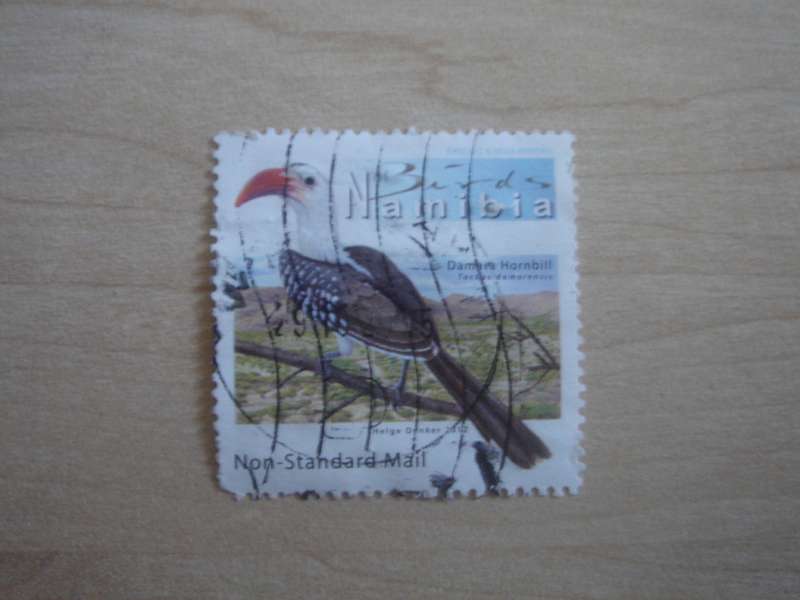 2012 Namibia - Damara Hornbill used, stamped