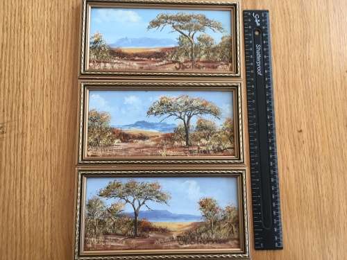 JAC PIENAAR - OIL ON BOARD - BUSHVELD LANDSCAPES