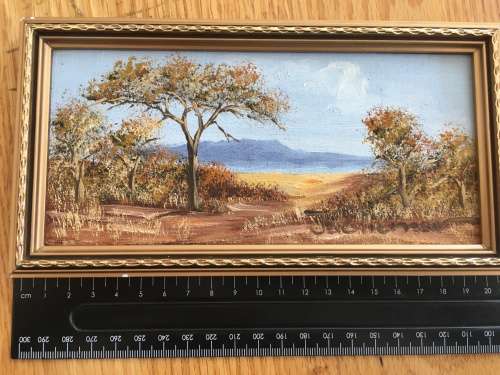 JAC PIENAAR - OIL ON BOARD - BUSHVELD LANDSCAPES