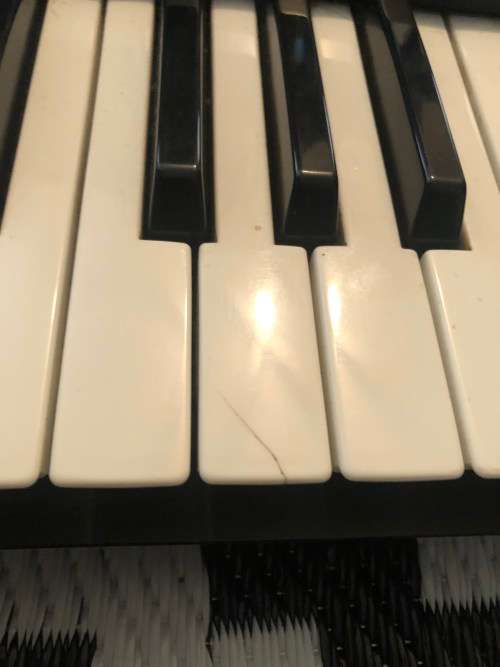 Roland E-15 Synthesizer Keyboard and Yamaha FC4 pedal