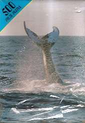 WHALE TAIL PUZZLE