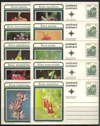 RSA 1977 SET OF 10 UNUSED POSTCARDS 3c PROTEA GLOSSY WITH PT LOGO