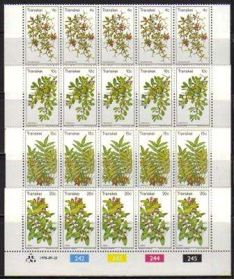 TRANSKEI 1978 EDIBLE WILD FRUITS SET OF 4 MNH CONTROL STRIPS OF 5