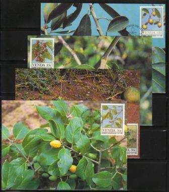VENDA 1985 FOOD FROM THE VELD SET OF 4 MAXIMUM CARDS