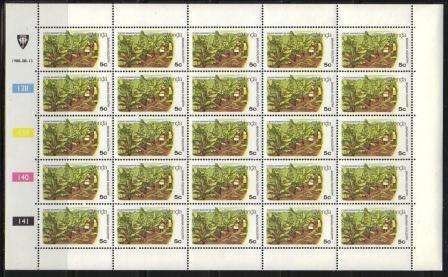 VENDA 1980 BANANA CULTIVATION SET OF 4 MNH FULL SHEETS OF 25