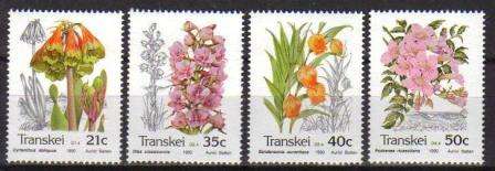 TRANSKEI 1990 INDIGENOUS FLORA SET OF 4 MNH SINGLES