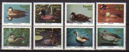 TRANSKEI 1992 WATER FOWL SET OF 4 MNH PAIRS