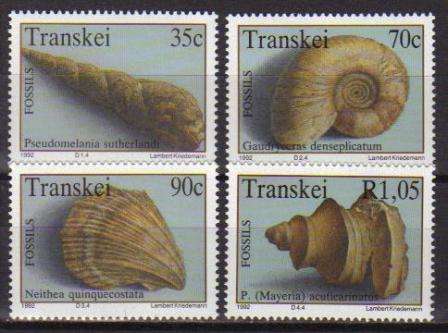 TRANSKEI 1992 MARINE FOSSILS SET OF 4 MNH SINGLES