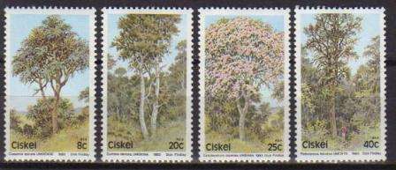 CISKEI 1983 INDIGENOUS TREES SET OF 4 MNH SINGLES