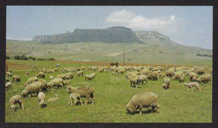RSA 1972 WOOL BOARD INTERIM DEFINITIVES UNADDRESSED OFFICIAL FDC 21