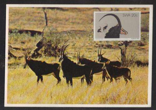 SWA 1980 ANTELOPE 20c ON PRIVATE MAXI CARD NOT CXD