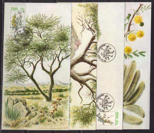 SWA 1984 ACACIAS (SPRING) SET OF 4 LIMITED EDITION PRIVATE HAND CANCELLED MAXI CARDS