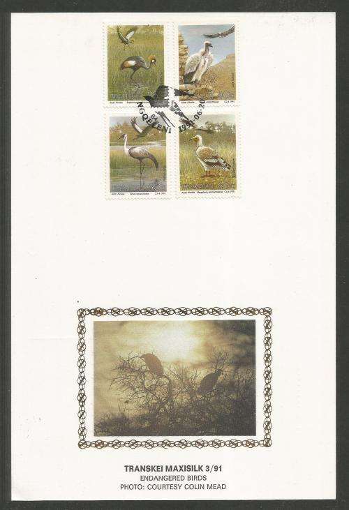 TRANSKEI 1991 ENDANGERED BIRDS LIMITED EDITION MAXISILK CARD 3/91