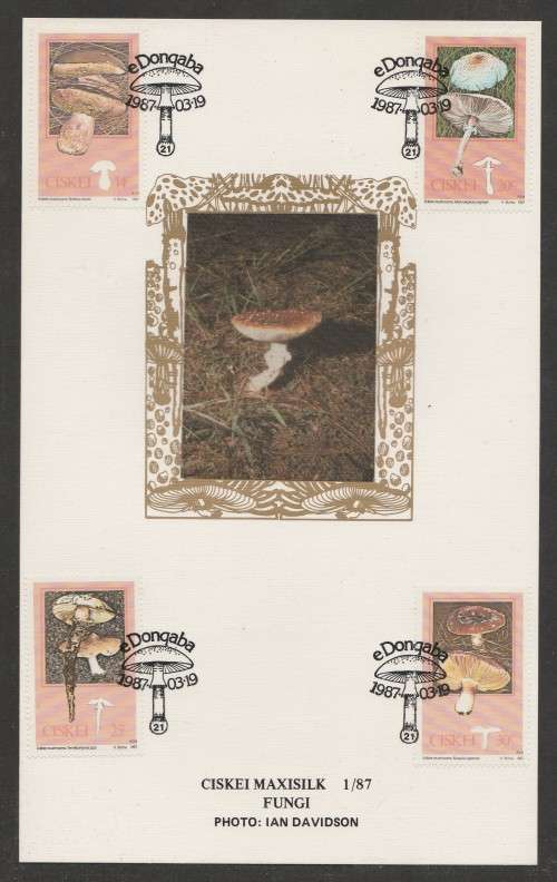 CISKEI 1987 FUNGI LIMITED EDITION MAXISILK CARD # 1/87