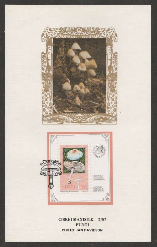 CISKEI 1987 FUNGI M/S LIMITED EDITION MAXISILK CARD # 2/87
