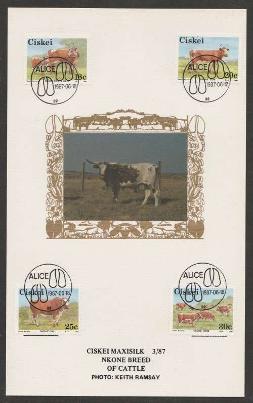 CISKEI 1987 CATTLE BREEDS LIMITED EDITION MAXISILK CARD # 3/87