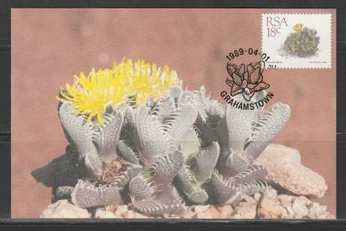 RSA 1989 SUCCULENTS 18c ADDITIONAL VALUE ON MAXI CARD BY THE SUCCULENT SOCIETY SA