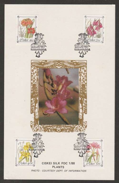 CISKEI 1988 PLANTS LIMITED EDITION MAXISILK CARD 1/88