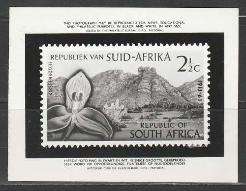 RSA 1963 50TH ANNIV KIRSTENBOSCH PHOTOGRAPHIC MEDIA/PUBLICITY RELEASE