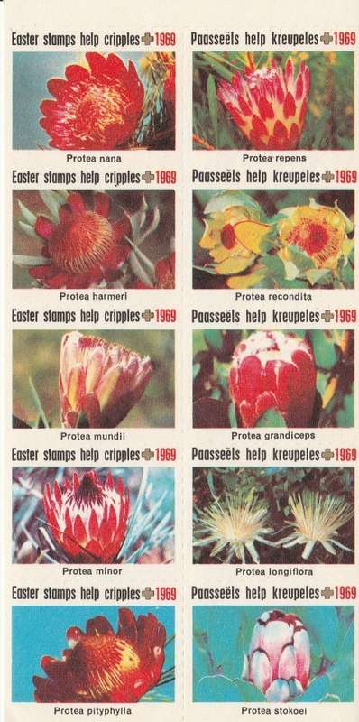RSA 1969 EASTER LABELS BOOKLET COMPLETE WITH MNH PANE OF 10 - PROTEA NANA STAMP TOP LEFT