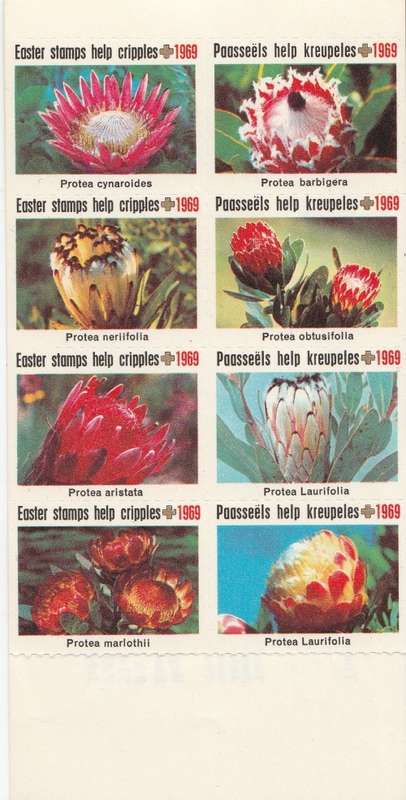 RSA 1969 EASTER LABELS BOOKLET INCOMPLETE WITH MNH PANE OF 8 - PROTEA CYNARODES STAMP TOP LEFT