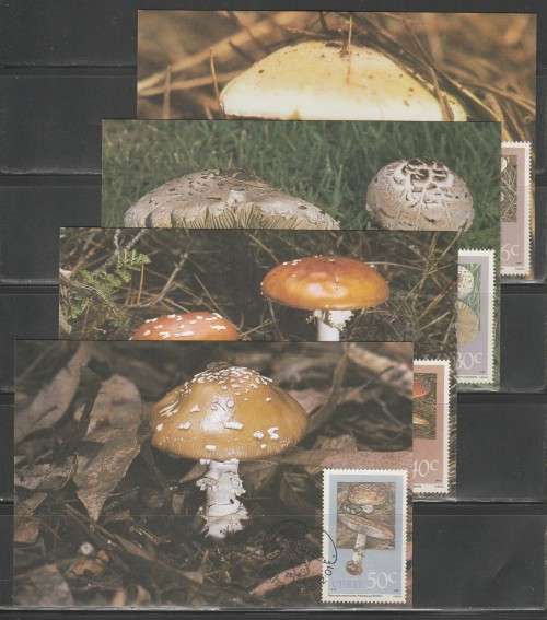 CISKEI 1988 POISONOUS MUSHROOMS SET OF 4 MAXI CARDS