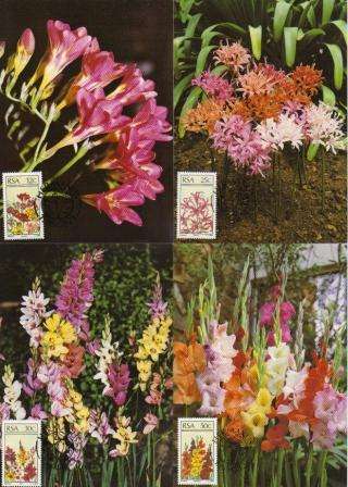 RSA 1985 FLORAL EMIGRANTS SET OF 4 MAXI CARDS