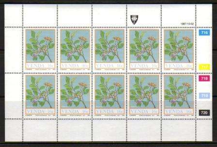 VENDA 1987 FOOD FROM THE VELD SET OF 4 MNH FULL SHEETS OF 10
