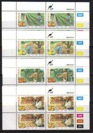 CISKEI 1988 CITRUS FARMING SET OF 4 MNH CONTROL BLOCKS OF 4