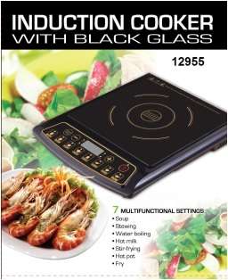 Induction Hob / plate