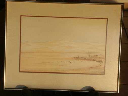 Sossus vlei in water colours - framed
