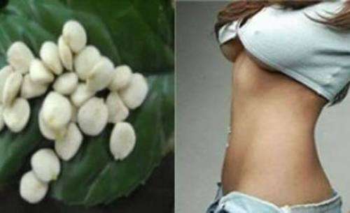 WEIGHLESS FAT BURNER SEED