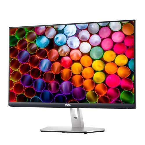 DELL S2421HN - 60.45cm (23.8") (1920x1080 at 75Hz) FHD IPS LED Monitor