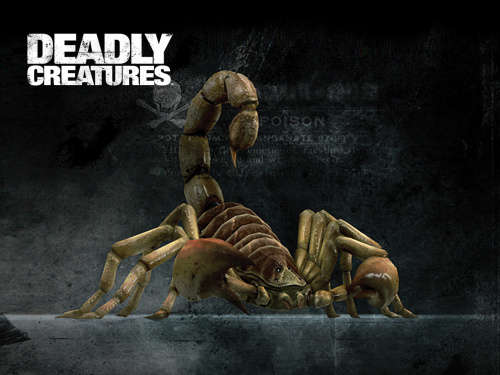 Deadly Creatures (Wii PAL)