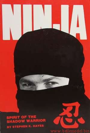 Martial arts - Ninja Spirit of the shadow warrior by Stephen K. Hayes