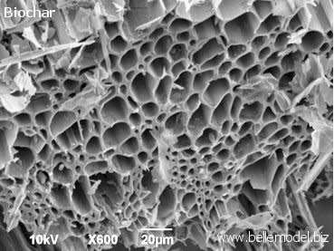 Organic fertilizers - biochar + vermicast + cow manure