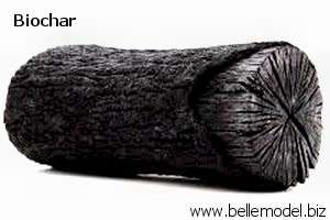 Organic fertilizers - biochar + vermicast + cow manure