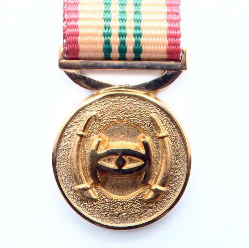 Miniature - South Africa Int. Medal.     #34