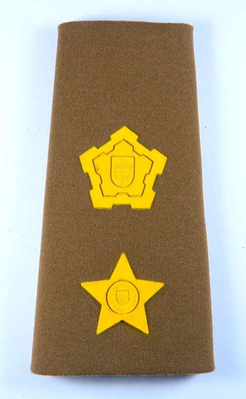 South African Army Badge