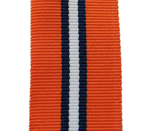 Full size - SAP 30 Years. 15 CM. New Medal Ribbon