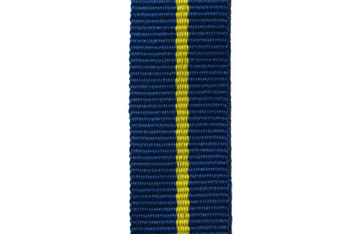 Miniature - SAP 10 Years Service 12 CM New Medal Ribbon