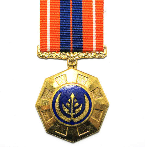 Full Size Medal - SA Pro Patria Fourth Type189999