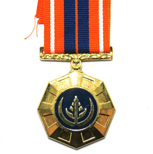 Full Size Medal - SA Pro Patria Sixth Type #333479
