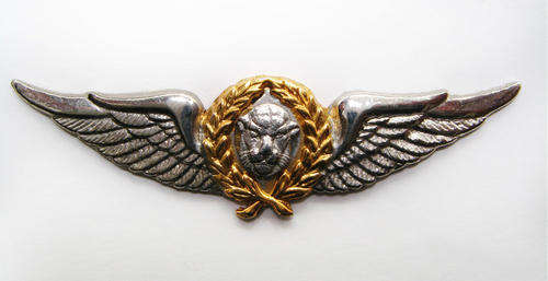 South Africa Bophuthatswana Air Force Pilot Bi-Metal wing.