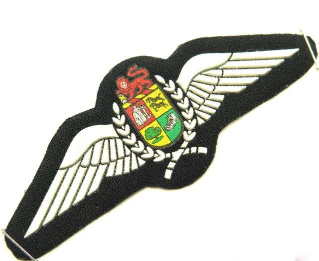 South African Airforce Pilots Wings